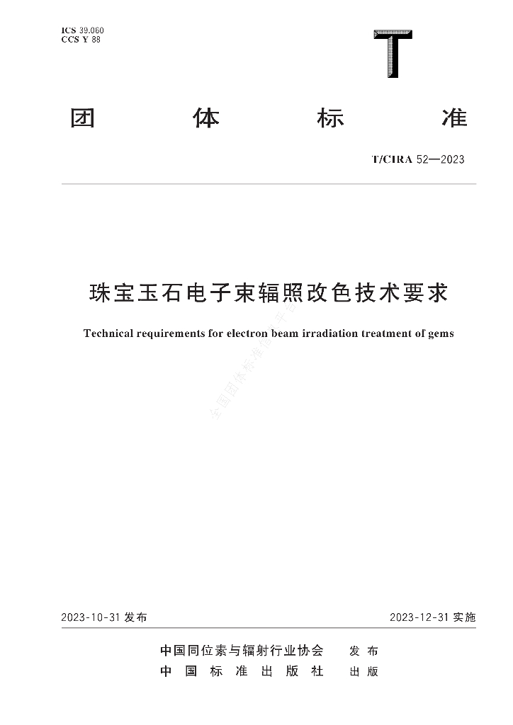 T/CIRA 52-2023 标准预览