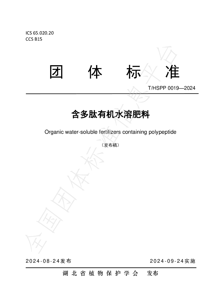T/HSPP 0019-2024 标准预览