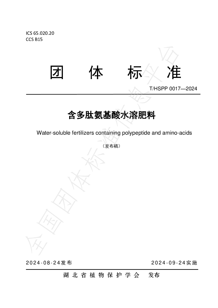 T/HSPP 0017-2024 标准预览