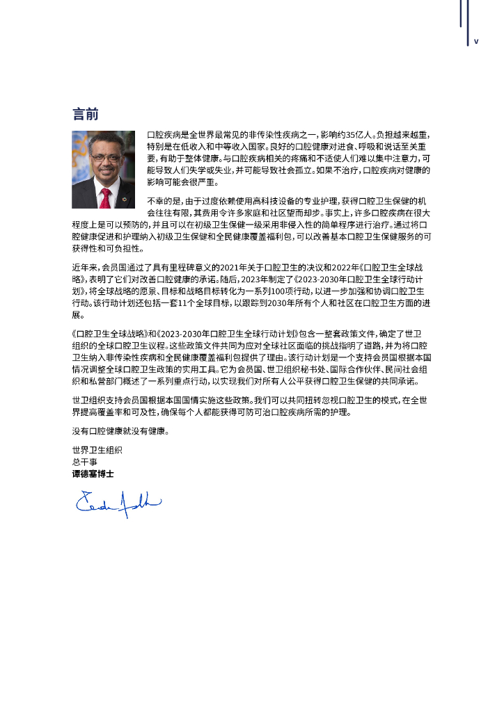 WHO世界卫生组织：口腔卫生全球战略和行动计划（2023-2030年）_第6页