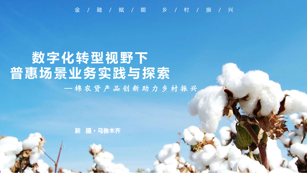 新疆银行（刘成）：<em>数字化转型</em>视野下，普惠业务实践与探索———棉农贷产品创新助力乡村振兴 海报