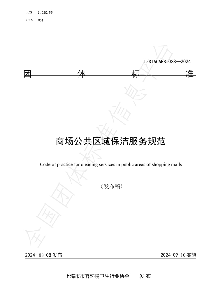 T/STACAES 038-2024 标准预览