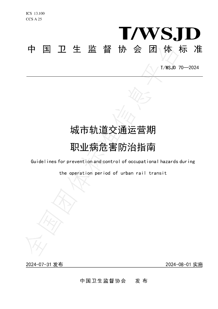 T/WSJD 70-2024 标准预览