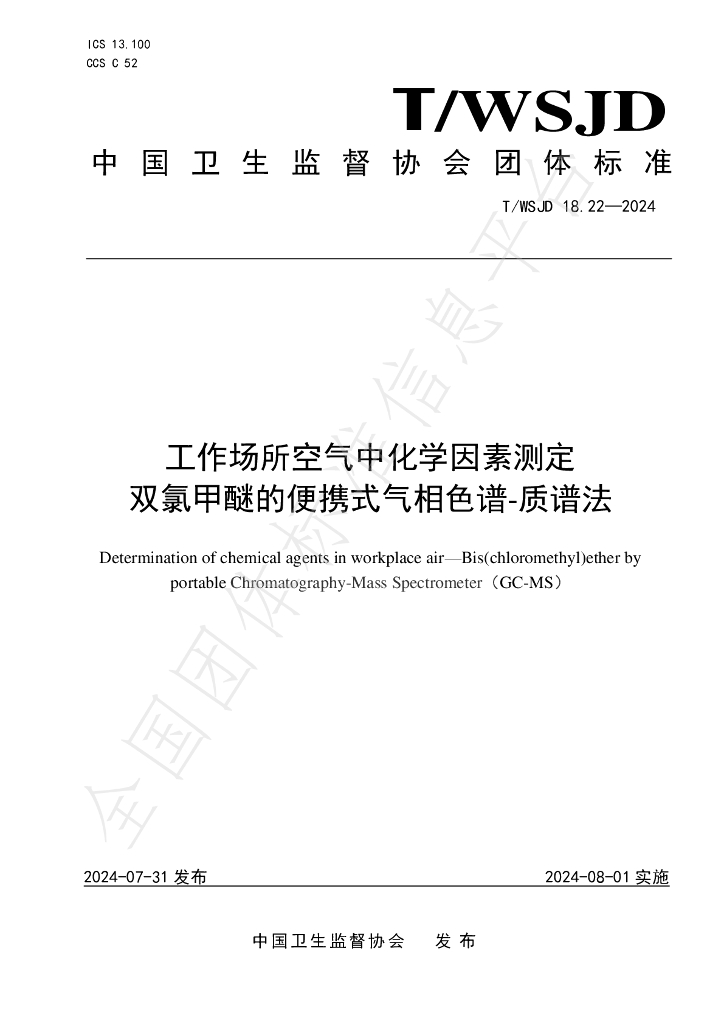 T/WSJD 18.22-2024 标准预览