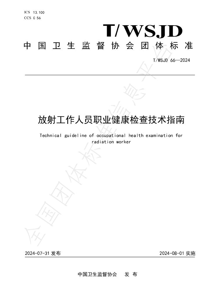 T/WSJD 66-2024 标准预览