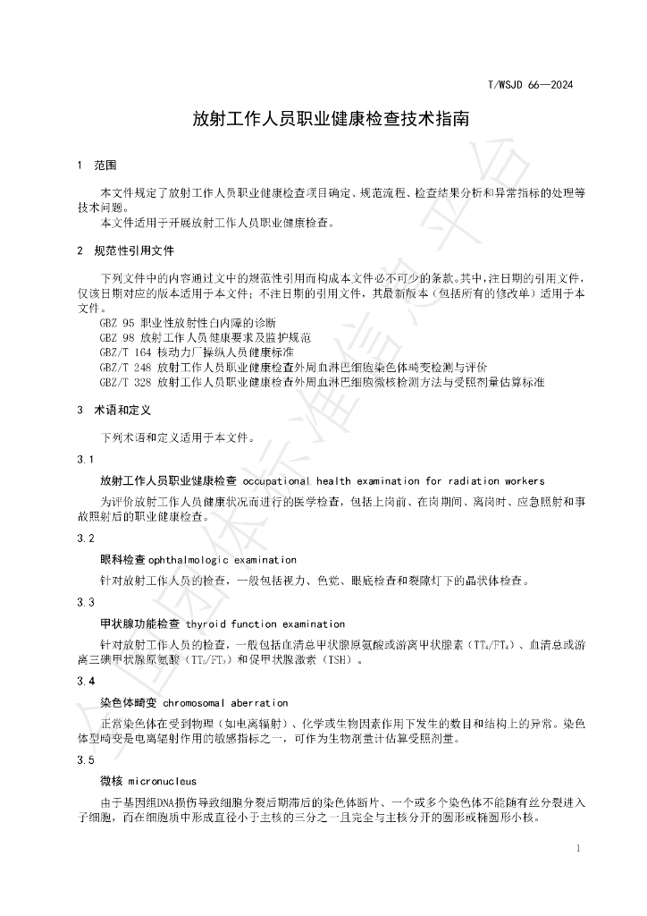 T/WSJD 66-2024 标准预览