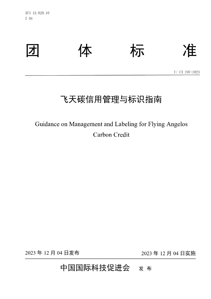 T/CI 207-2023 标准预览