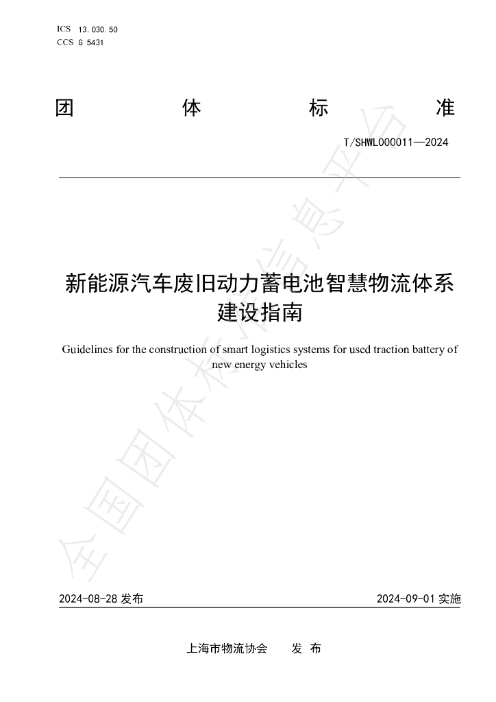 T/SHWL 000011-2024 标准预览