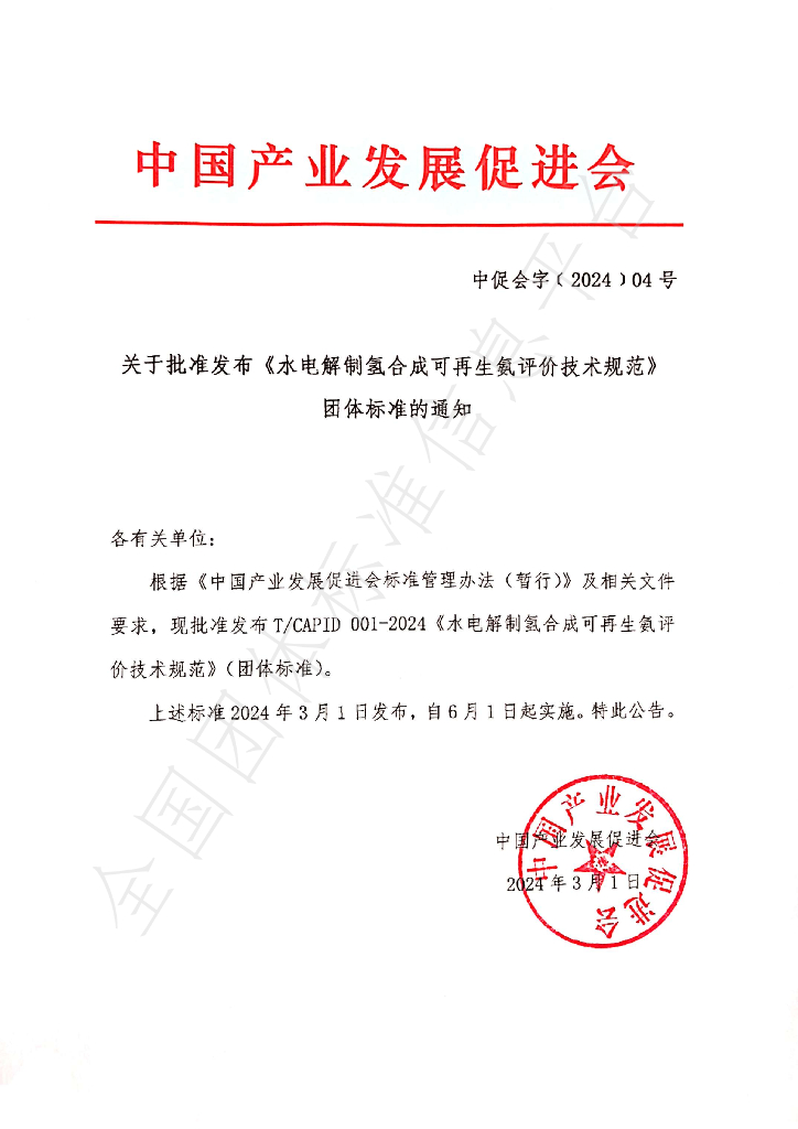 T/CAPID 001-2024 标准预览