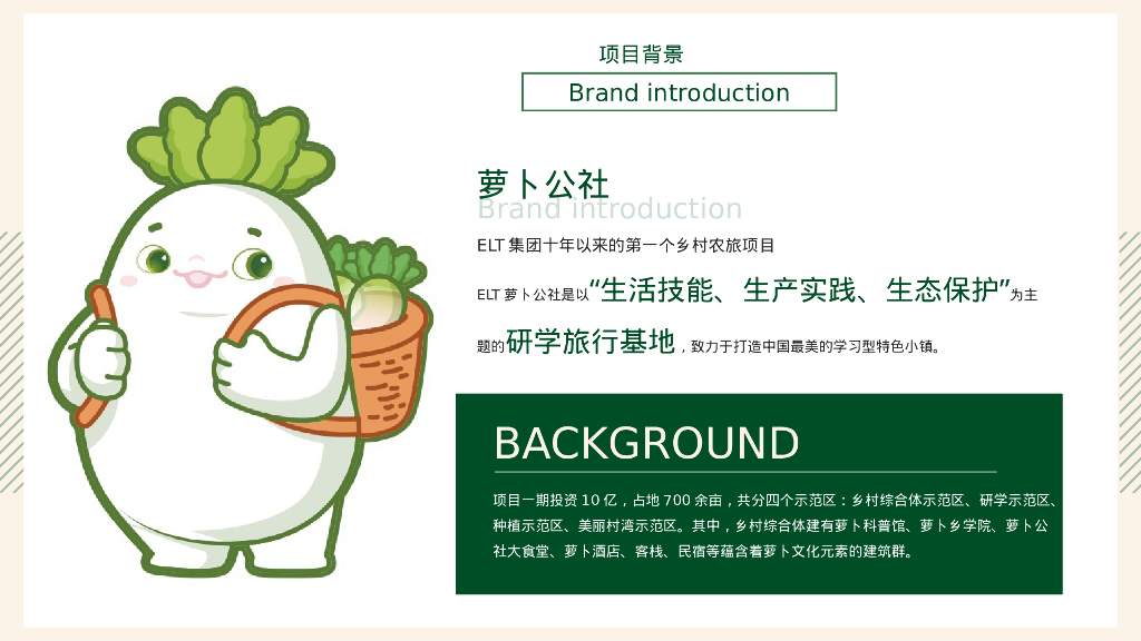 ELT萝卜公社景区年度萝卜嘉年华活动方案策划_第4页