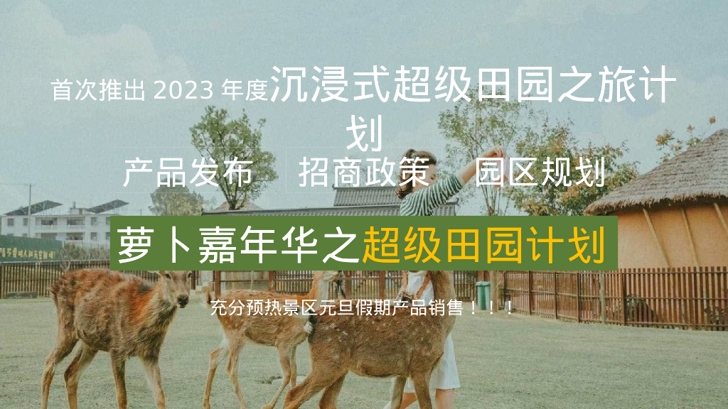 ELT萝卜公社景区年度萝卜嘉年华活动方案策划_第6页