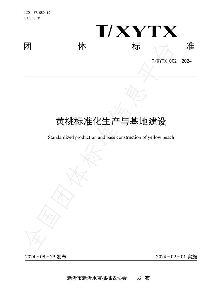 T/XYTX 002-2024 标准预览