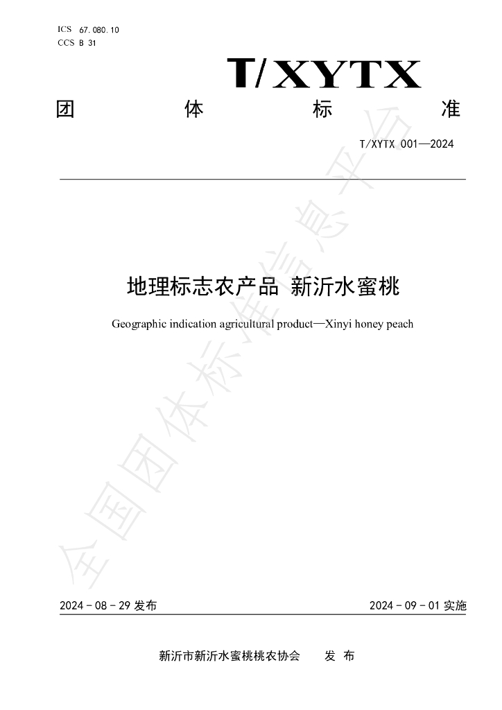 T/XYTX 001-2024 标准预览