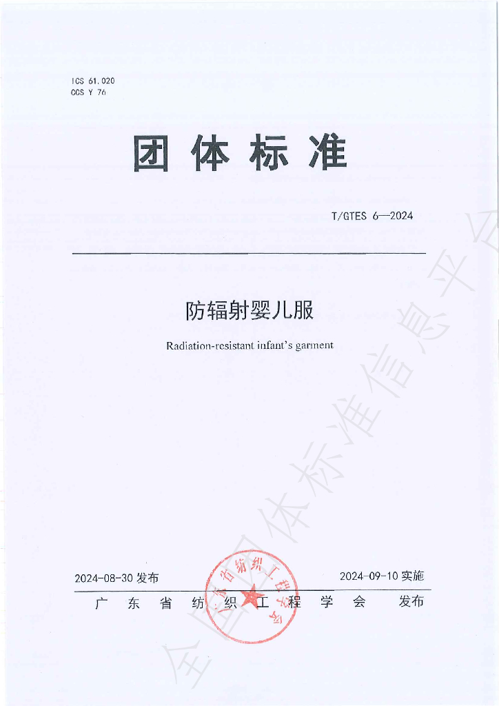 T/GTES 6-2024 标准预览