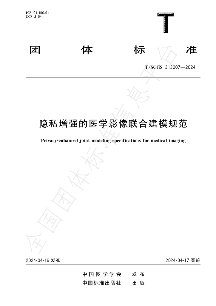 T/SCGS 313007-2024 标准预览