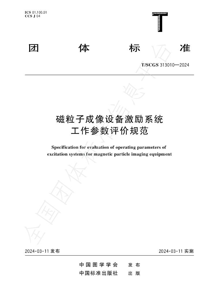 T/SCGS 313010-2024 标准预览