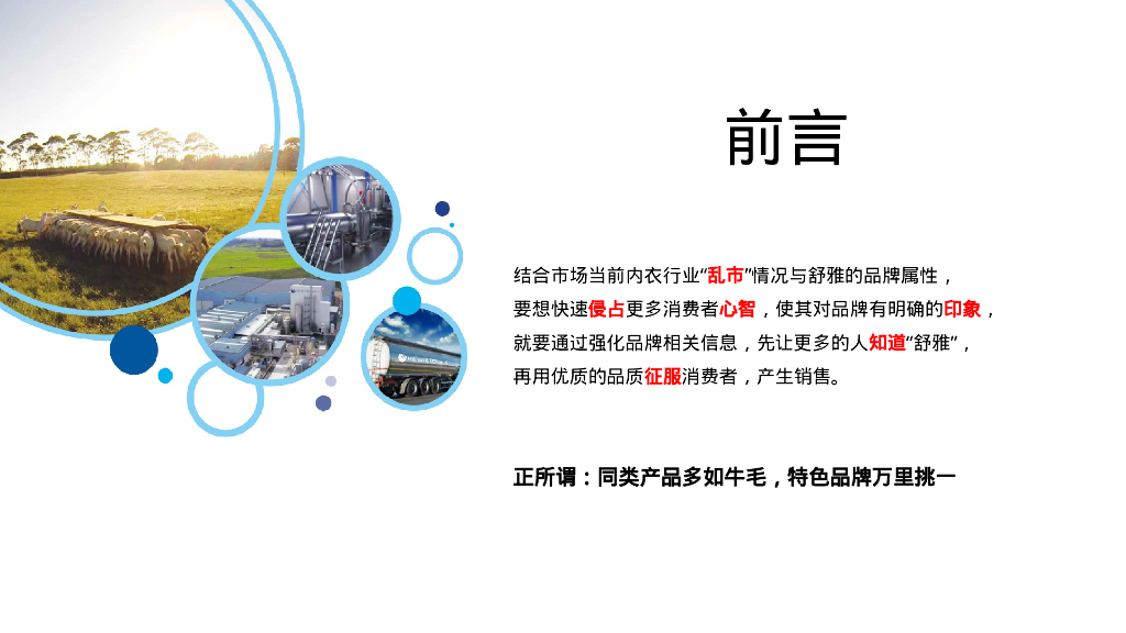 舒雅品牌小红书渠道营销策划案_第2页