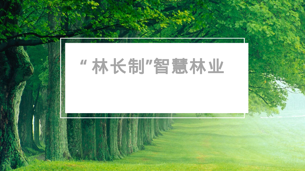 “林长制”智慧林业