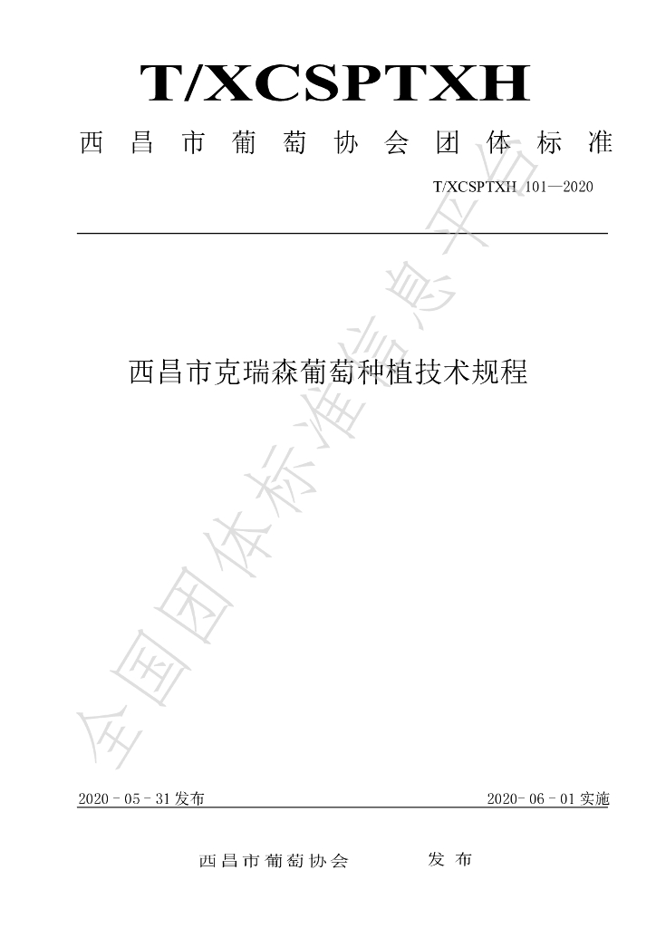 T/XCSPTXH 101-2020 标准预览