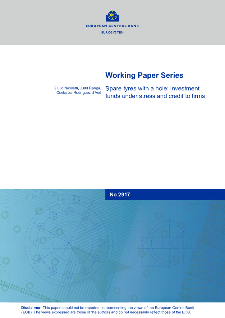 欧洲央行：有洞的备胎：压力下的投资基金和对公司的信贷（英文版）