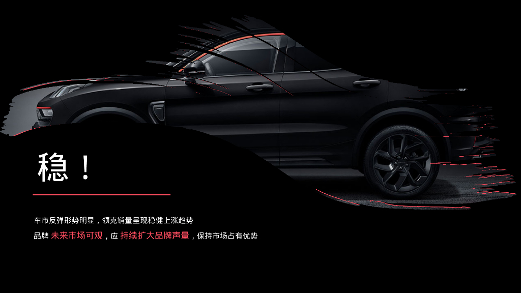 领克汽车20XX-20XX年度粤海区域营销方案_第5页