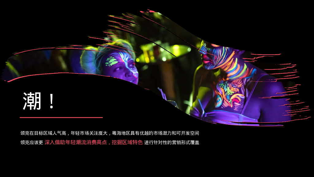 领克汽车20XX-20XX年度粤海区域营销方案_第8页