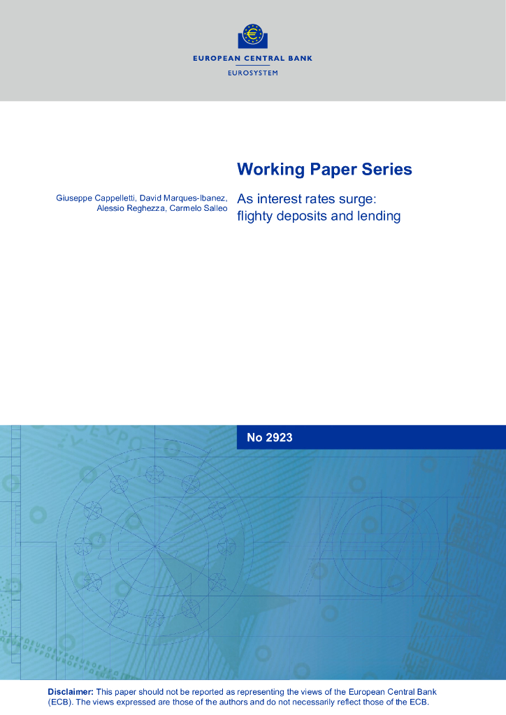 欧洲央行：随着利率飙升：反复无常的存款和贷款（英文版）