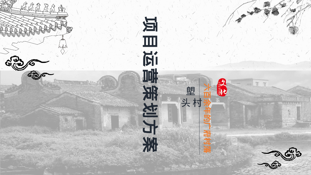 塱头村项目运营策划方案