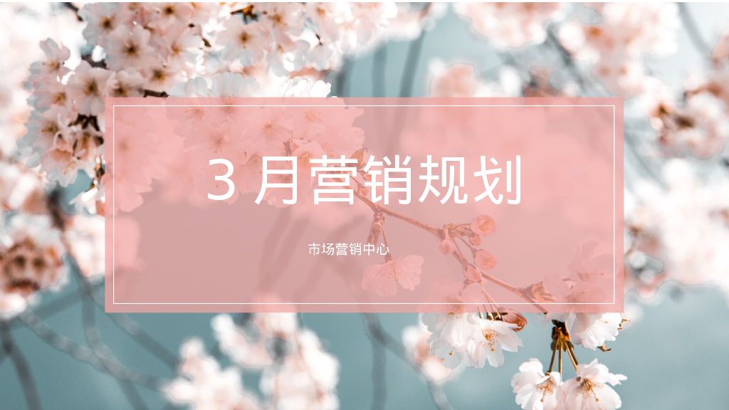 超市零售品牌3月营销规划方案