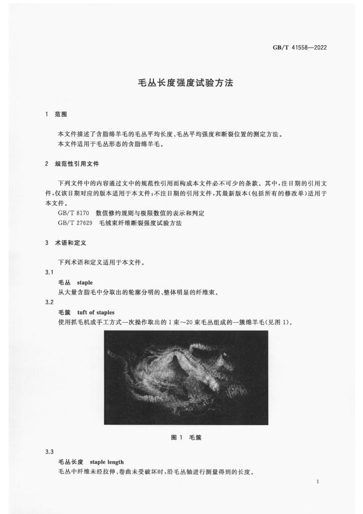 GB/T 41558-2022 标准预览