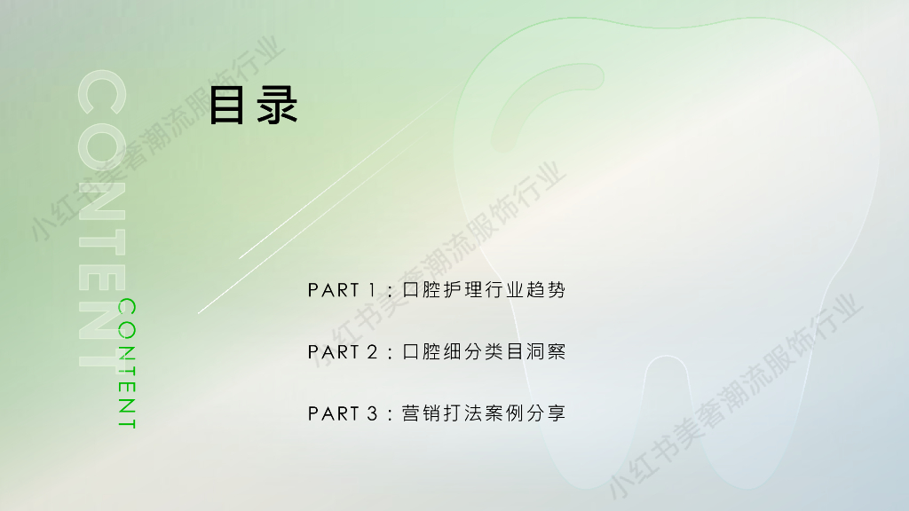 小红书：2024年口腔行业营销通案-书写口腔新篇章_第2页