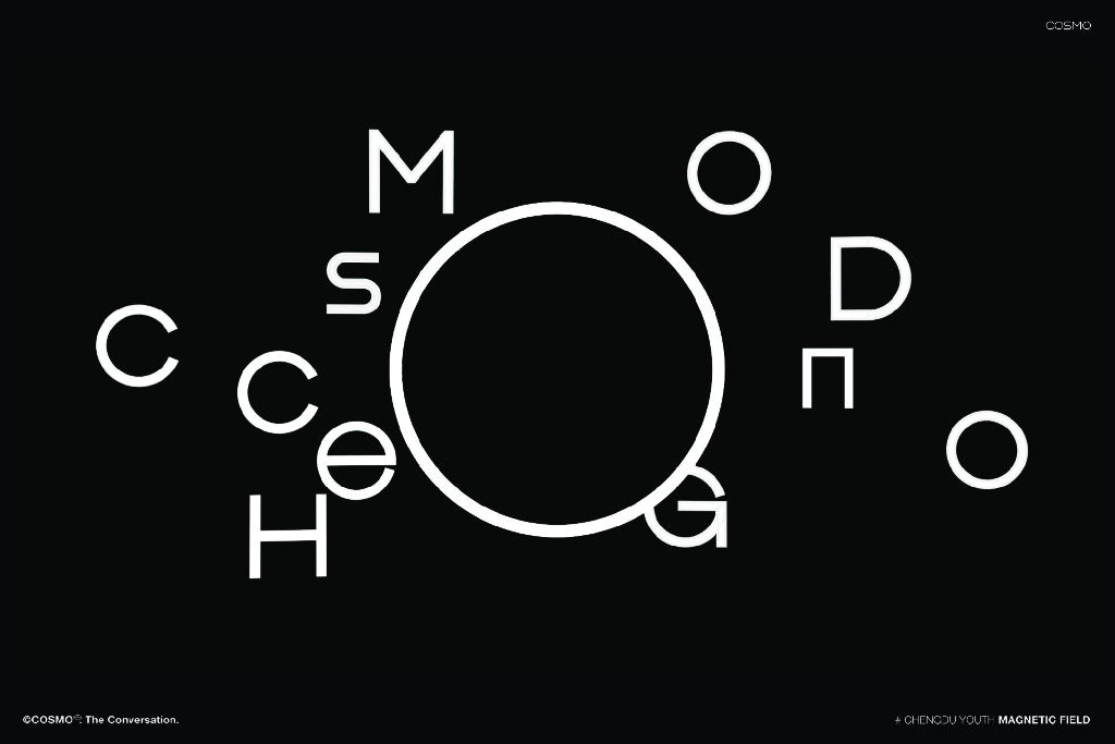 成都COSMO项目手册