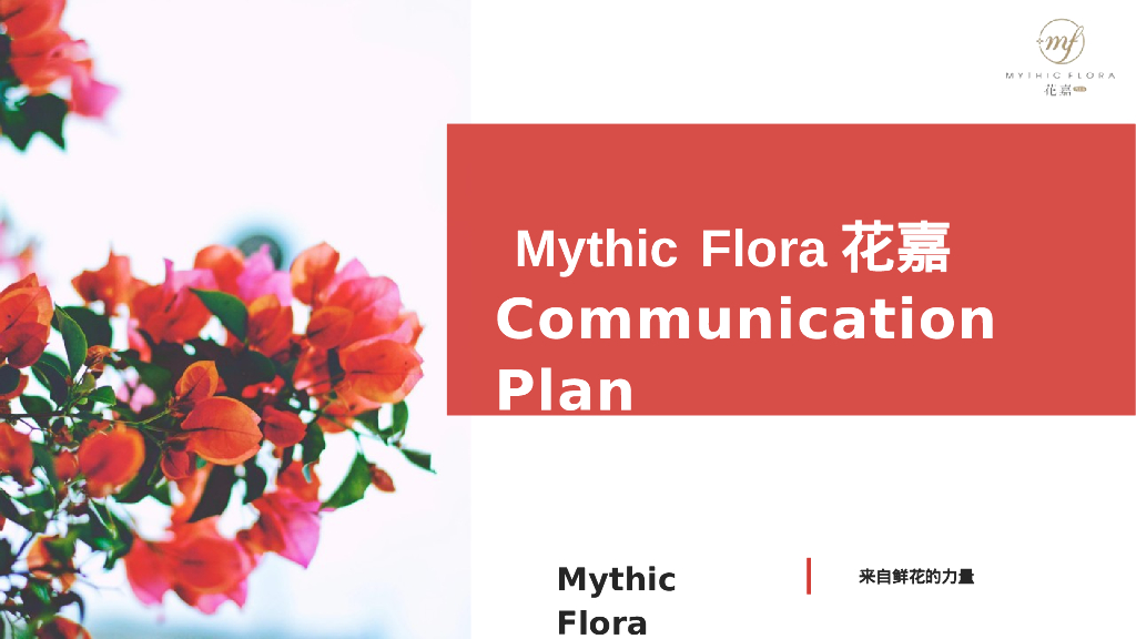 Mythic Flora花嘉新品线上全媒体渠道推广方案