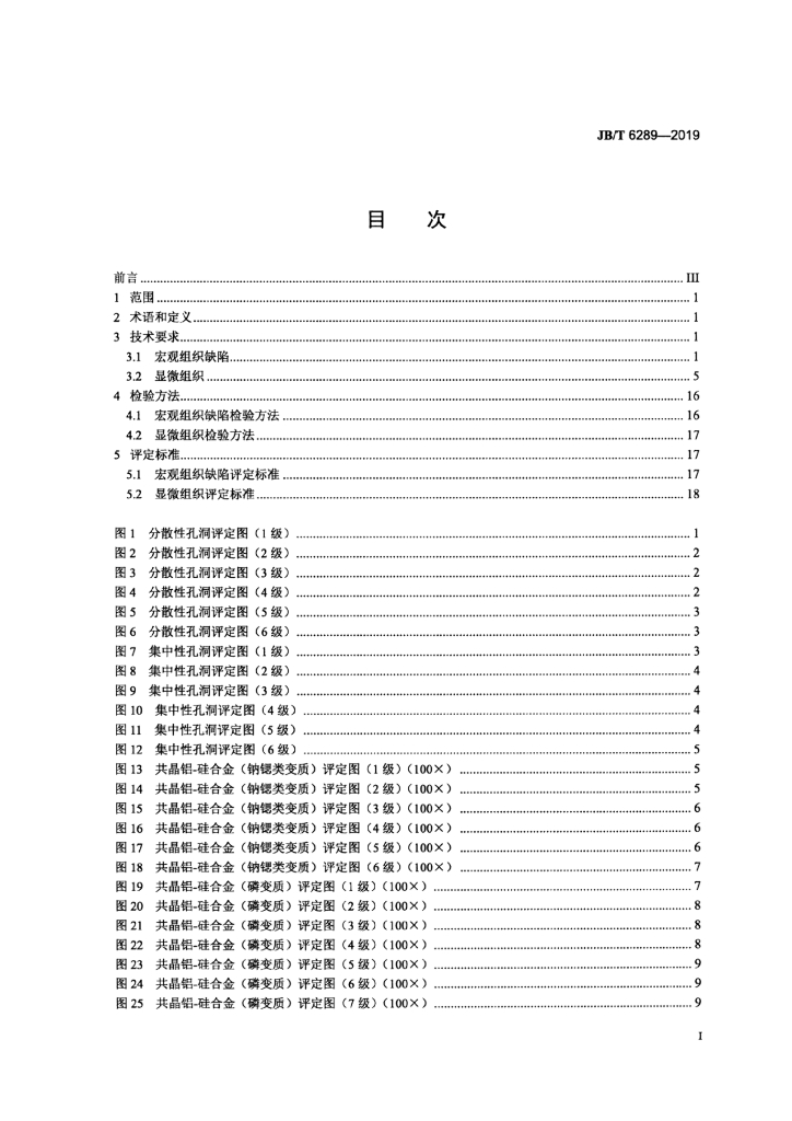 JB/T 6289-2019 标准预览