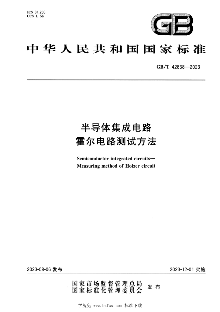 GB/T 42838-2023 标准预览