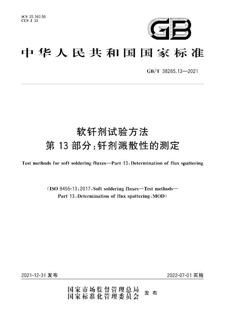 GB/T 38265.13-2021 标准预览