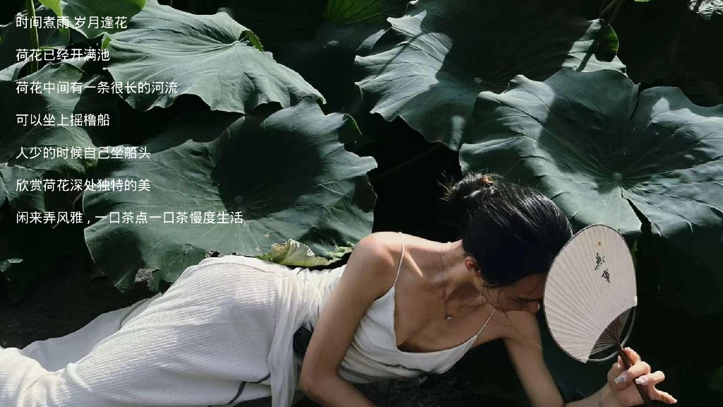 2024文旅项目国庆系列“都市里的荷花坞”活动策划方案_第2页