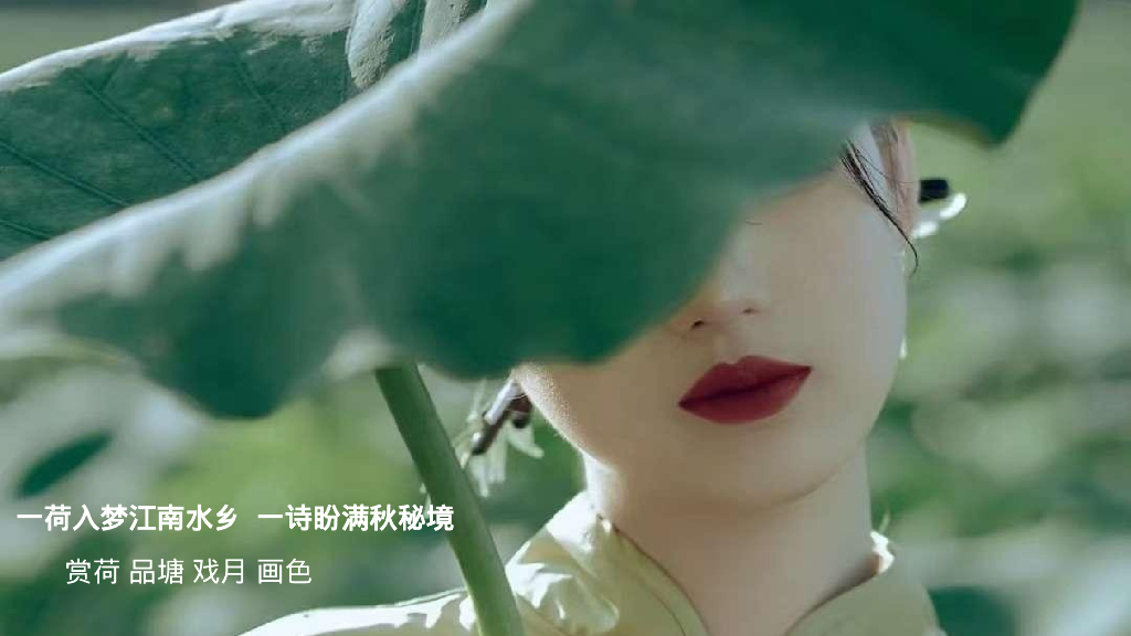 2024文旅项目国庆系列“都市里的荷花坞”活动策划方案_第4页