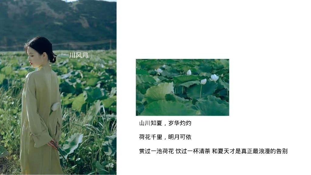 2024文旅项目国庆系列“都市里的荷花坞”活动策划方案_第5页