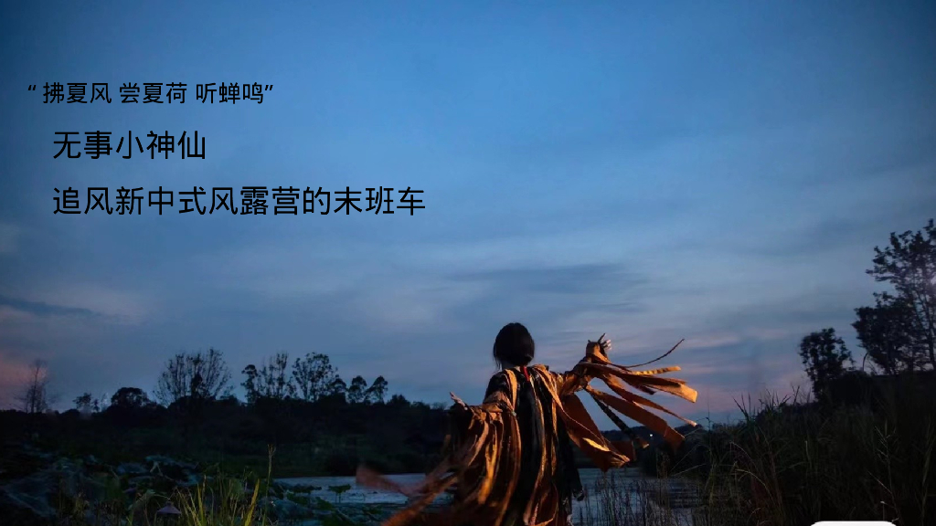 2024文旅项目国庆系列“都市里的荷花坞”活动策划方案_第9页