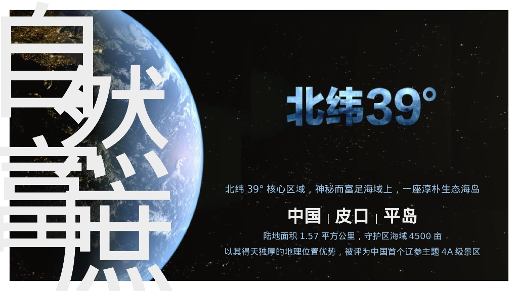 野趣海岛 平阔盛-中国首个参主题海岛文旅内容规划方案_第2页
