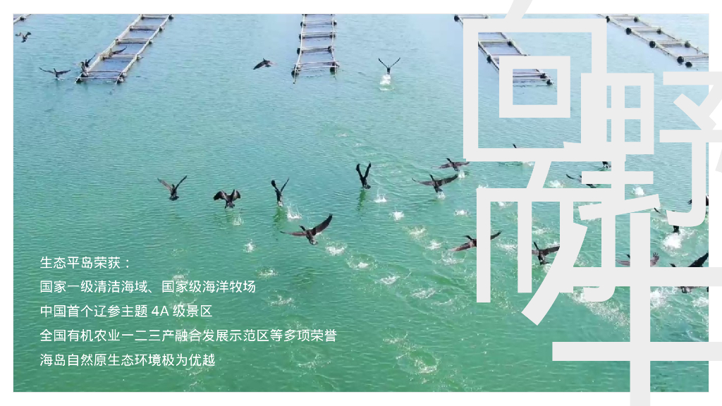 野趣海岛 平阔盛-中国首个参主题海岛文旅内容规划方案_第3页