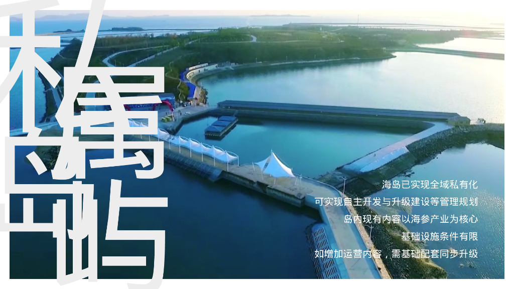 野趣海岛 平阔盛-中国首个参主题海岛文旅内容规划方案_第4页