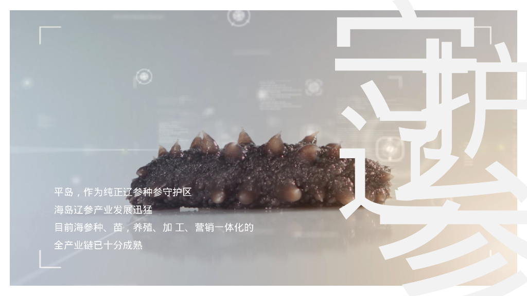 野趣海岛 平阔盛-中国首个参主题海岛文旅内容规划方案_第5页