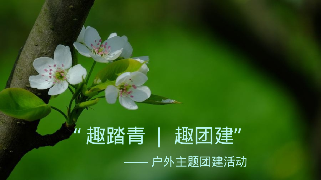 趣踏青 趣团建“户外露营春天主题团建活动方案