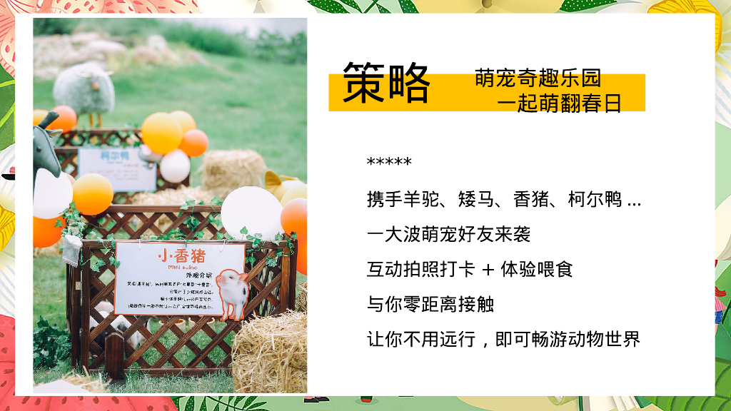 文旅项目春日嘉年华“春日潮悦计划”活动策划方案_第4页