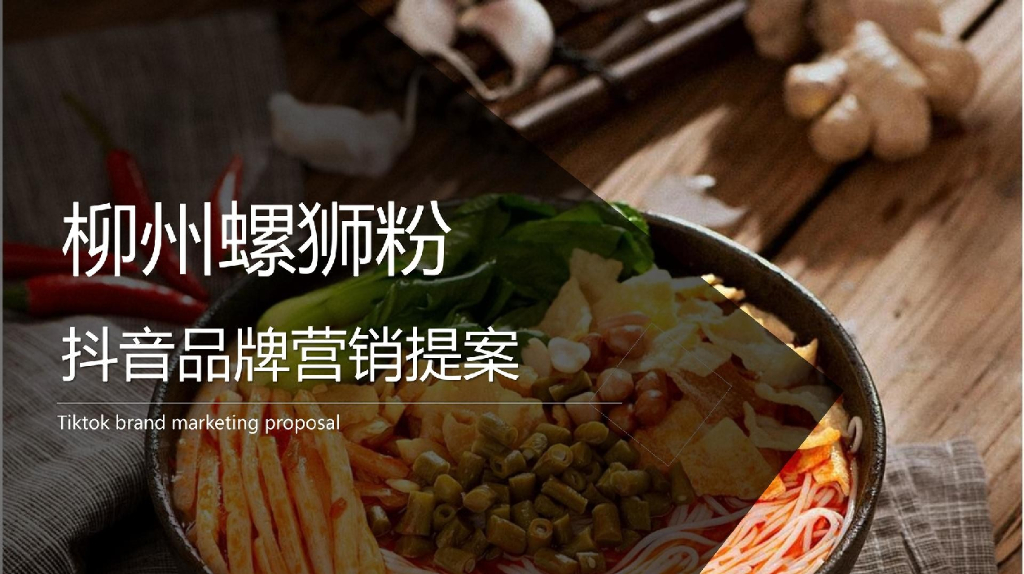 柳州螺狮粉抖音品牌营销提案