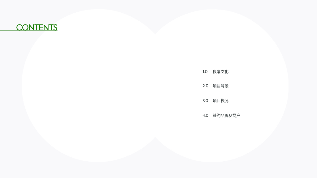 玉鸟集文旅策划方案_第4页