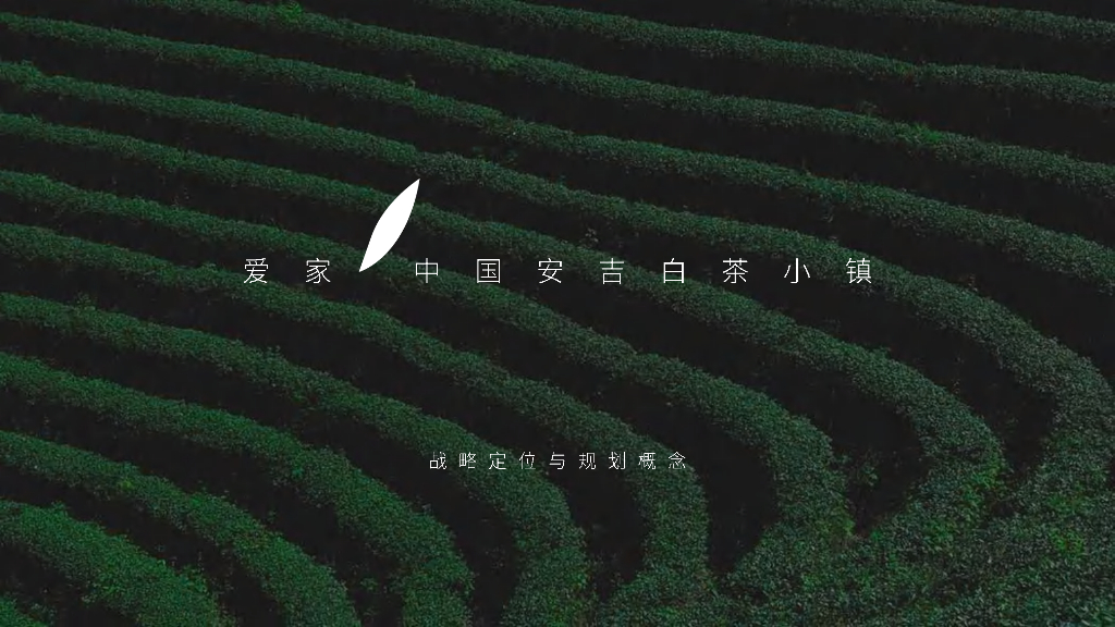 中国安吉白茶小镇战略定位与规划概念案