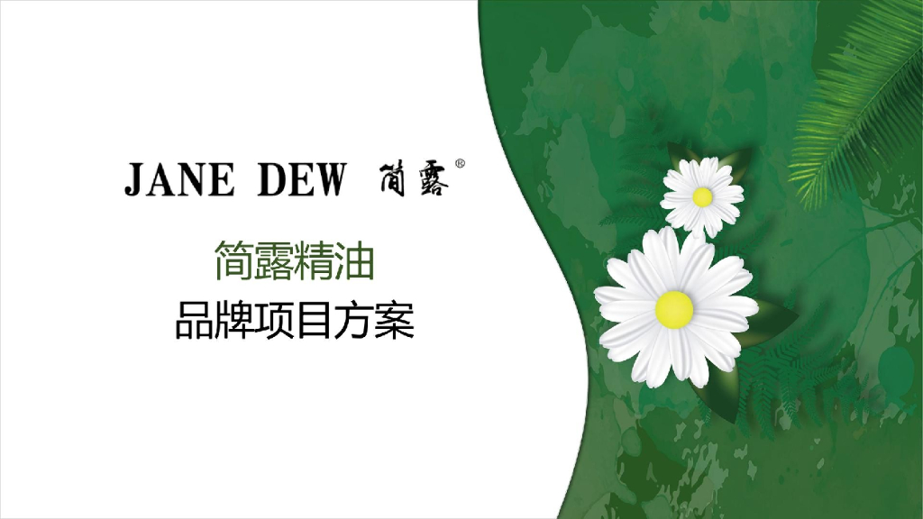 简露精油品牌项目方案